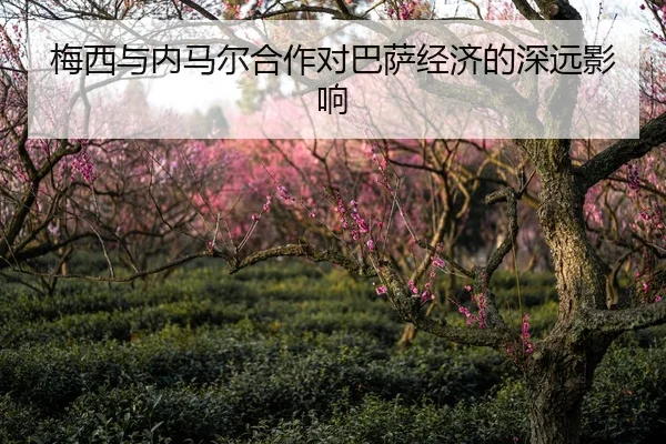 梅西与内马尔合作对巴萨经济的深远影响